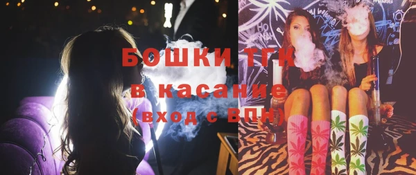 твердый Алексин